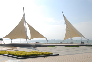 上大这5个特殊专业的介绍