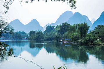 家中栽什么树旺财 3种镇宅又旺财的树