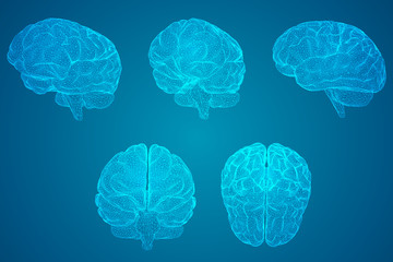 初一上地理南极洲的自然环境手抄报