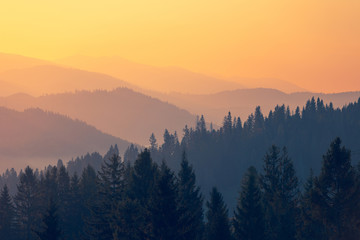 防溺水安全知识竞赛试题