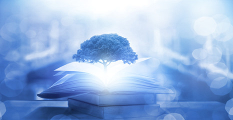 家中栽什么树旺财 3种镇宅又旺财的树