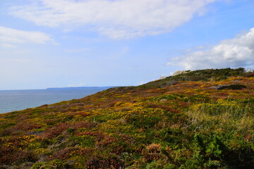 初一上地理南极洲的自然环境手抄报