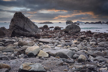 上大这5个特殊专业的介绍