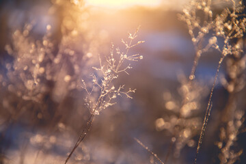 能把人感动哭的诗歌朗诵