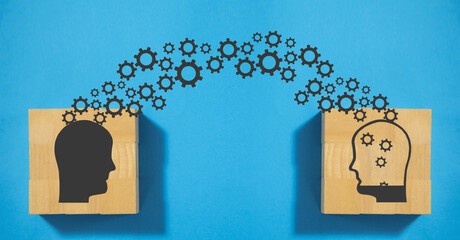 广东东莞可园简介