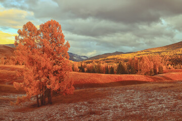 寒露节气养生常识有哪些-