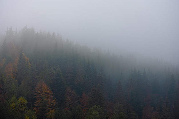 上大这5个特殊专业的介绍