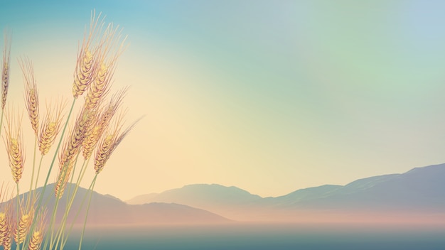 莆田货和正品有什么区别？_1