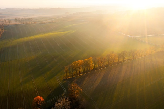 幼儿怎样保护牙齿