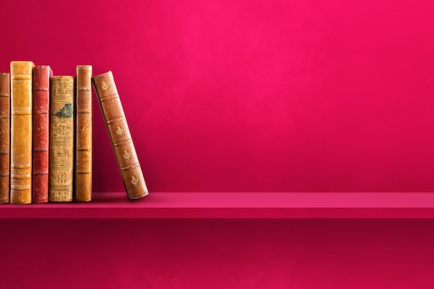 上大这5个特殊专业的介绍