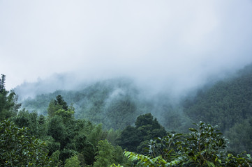 幼儿怎样保护牙齿